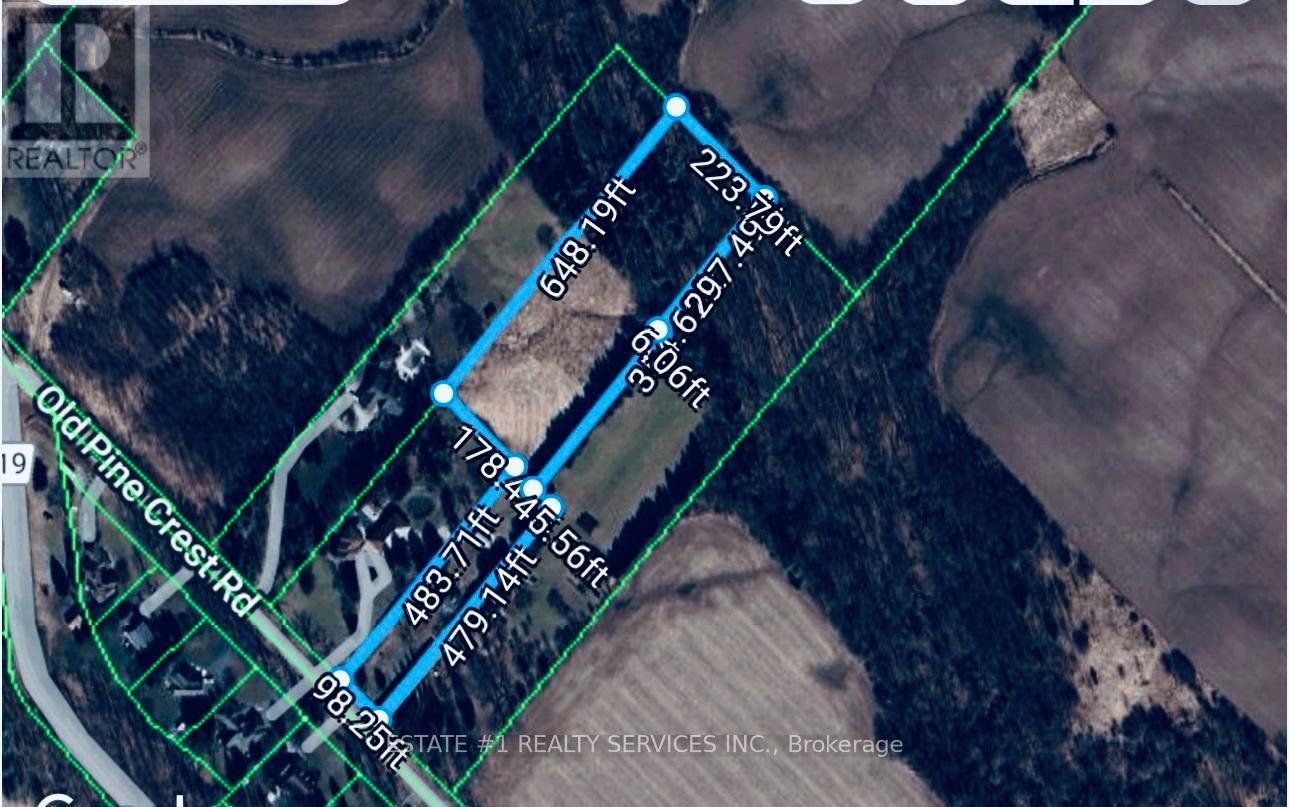 10231 Old Pinecrest Road Property Photo 11