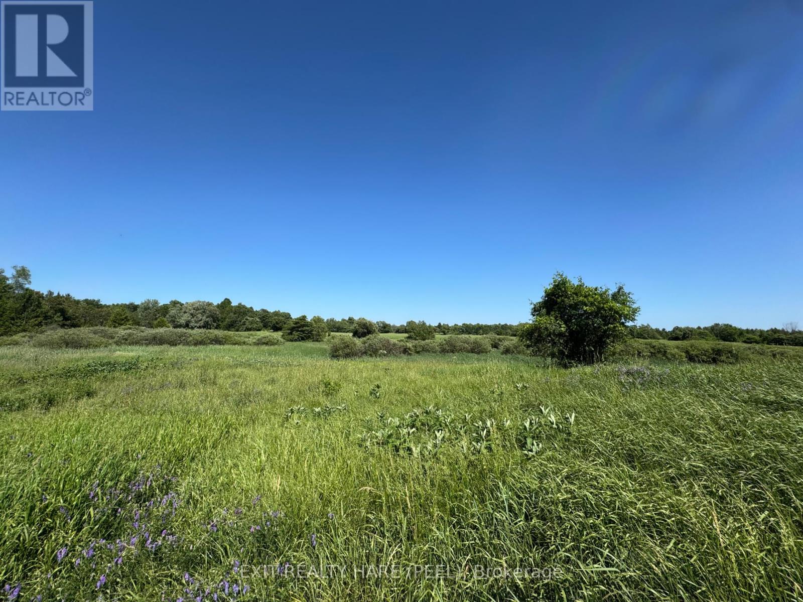 On - 14165 Trafalgar Rd Road Property Photo 13