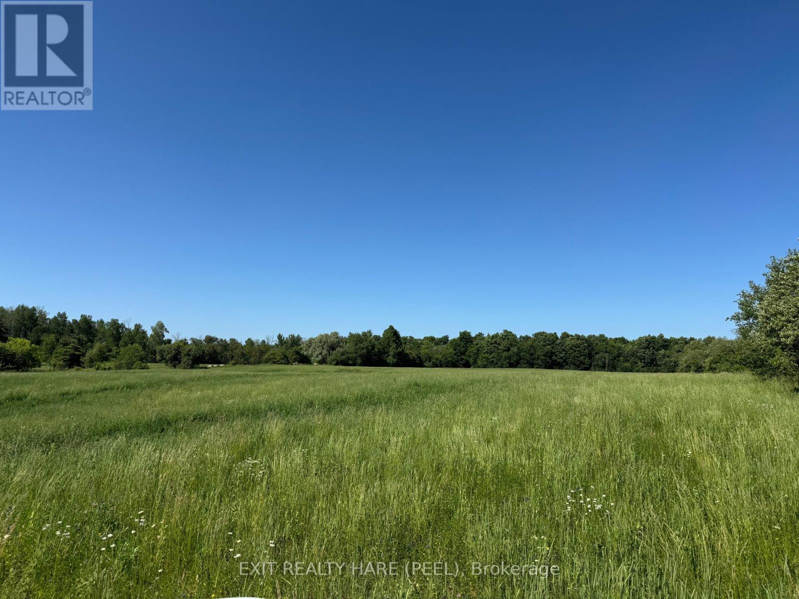 On - 14165 Trafalgar Rd Road Property Photo 15