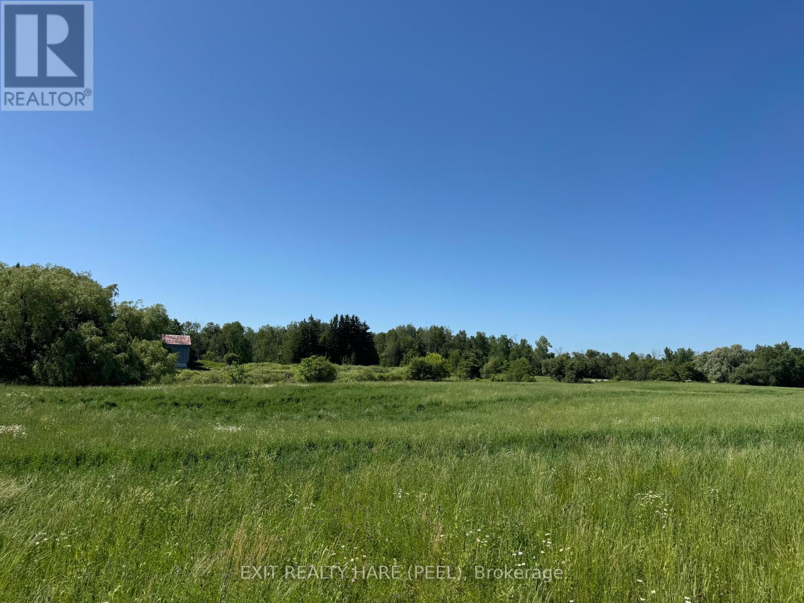 On - 14165 Trafalgar Rd Road Property Photo 16