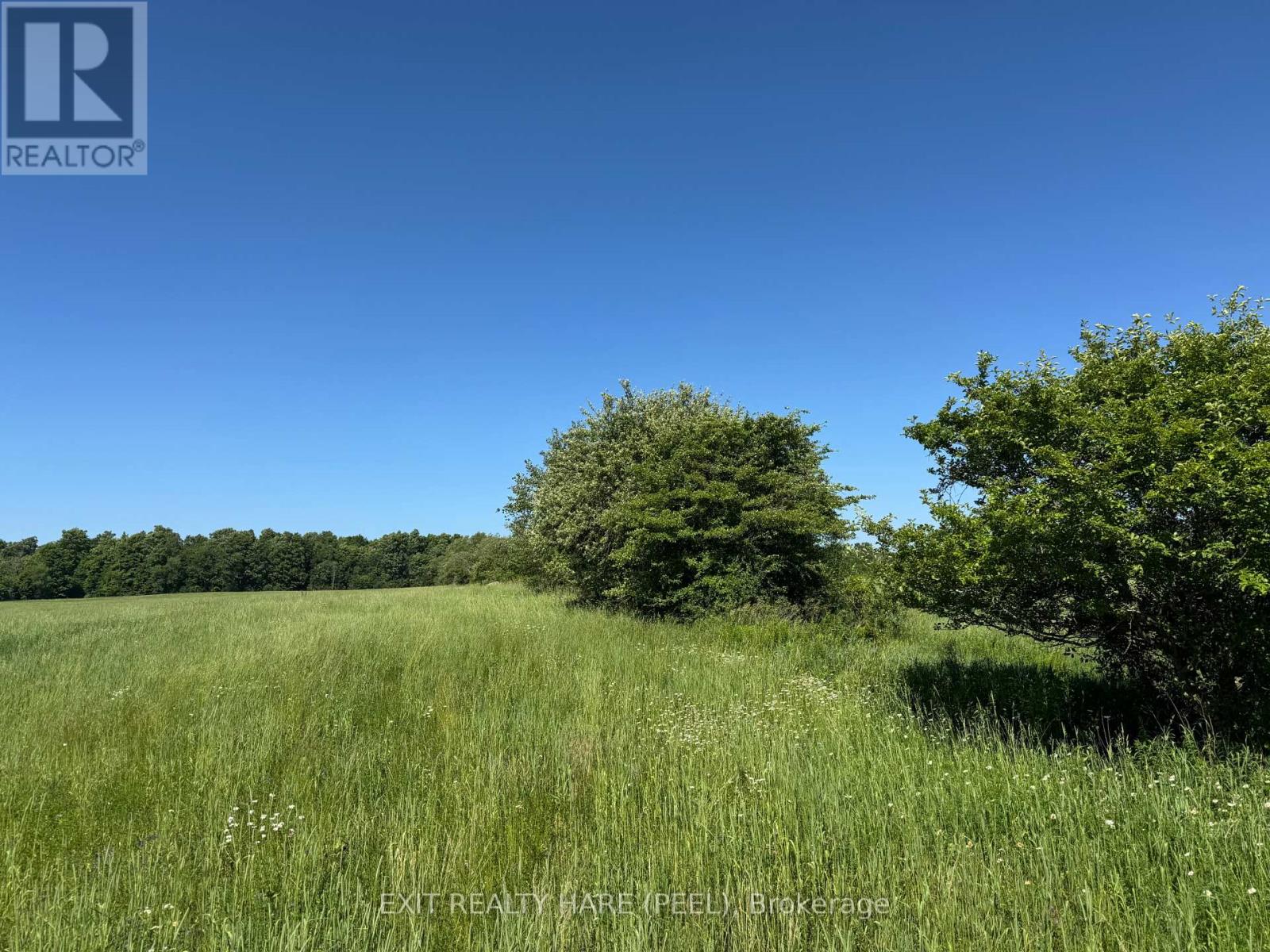 On - 14165 Trafalgar Rd Road Property Photo 17