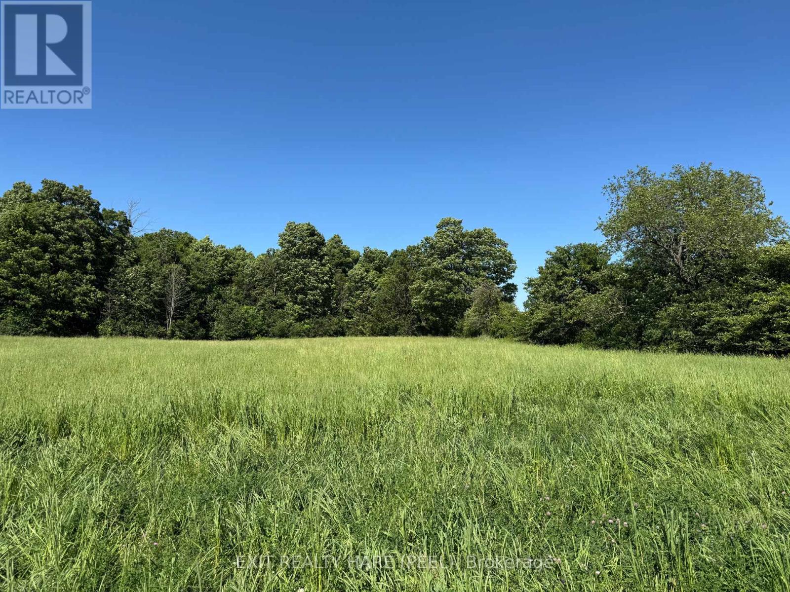 On - 14165 Trafalgar Rd Road Property Photo 18