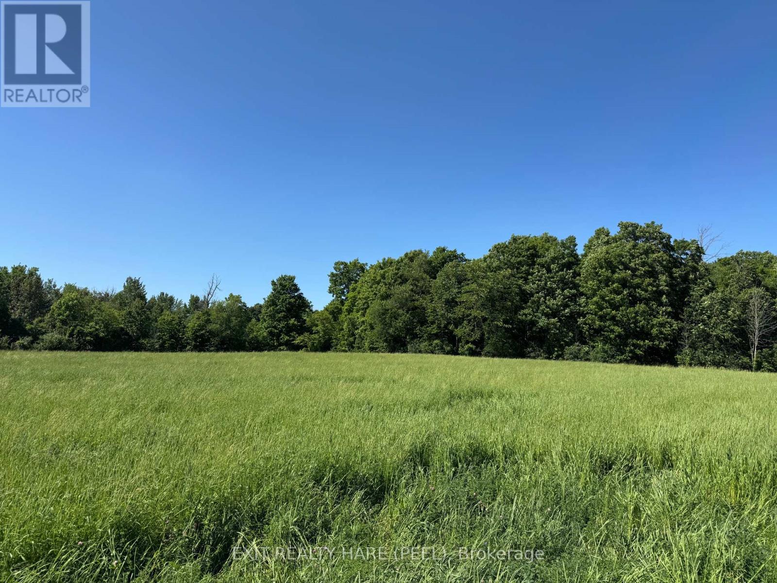 On - 14165 Trafalgar Rd Road Property Photo 19