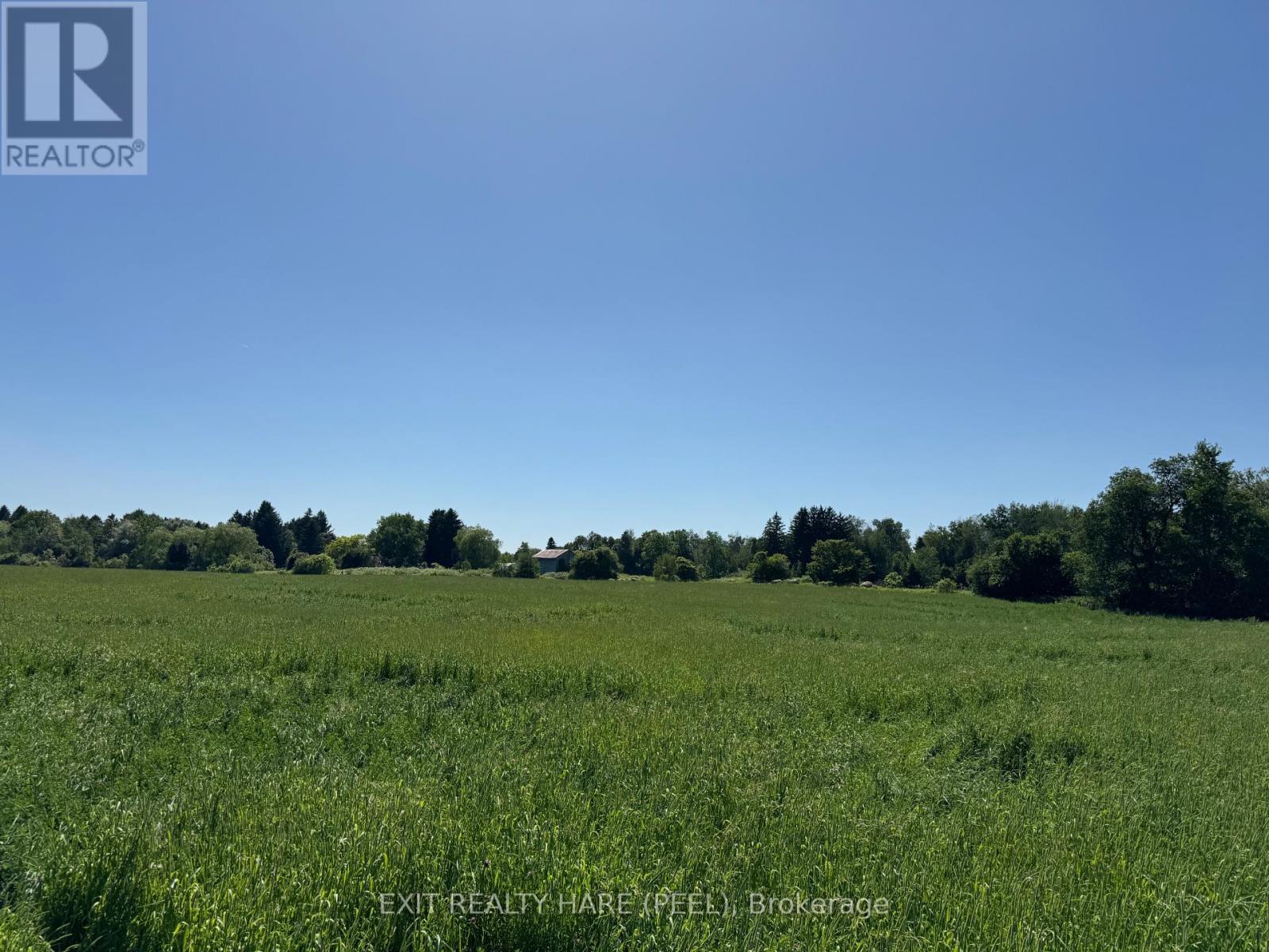 On - 14165 Trafalgar Rd Road Property Photo 20