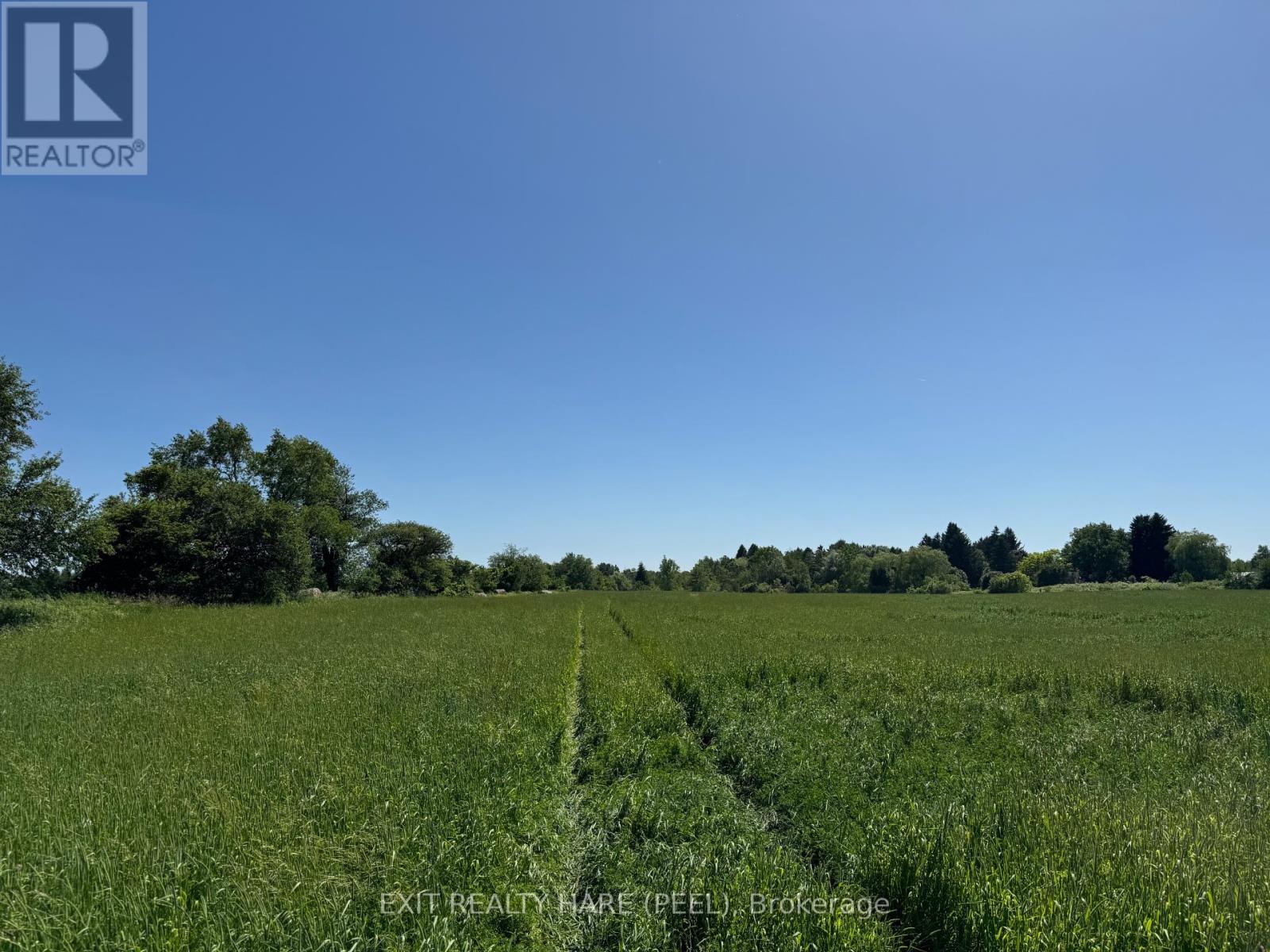 On - 14165 Trafalgar Rd Road Property Photo 21