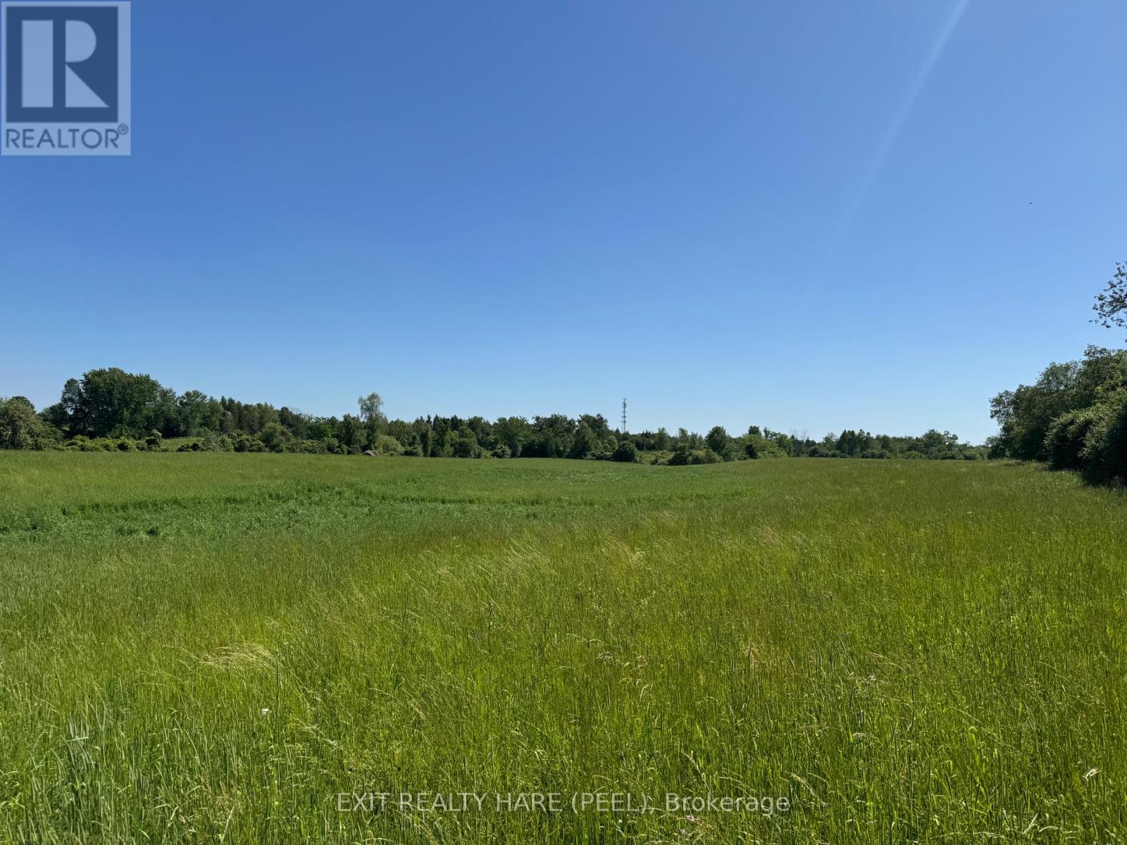 On - 14165 Trafalgar Rd Road Property Photo 22