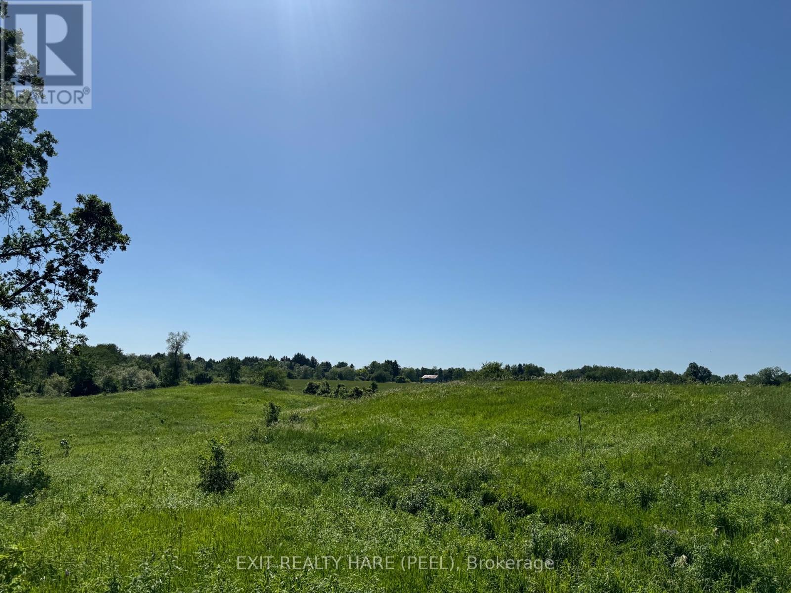 On - 14165 Trafalgar Rd Road Property Photo 23