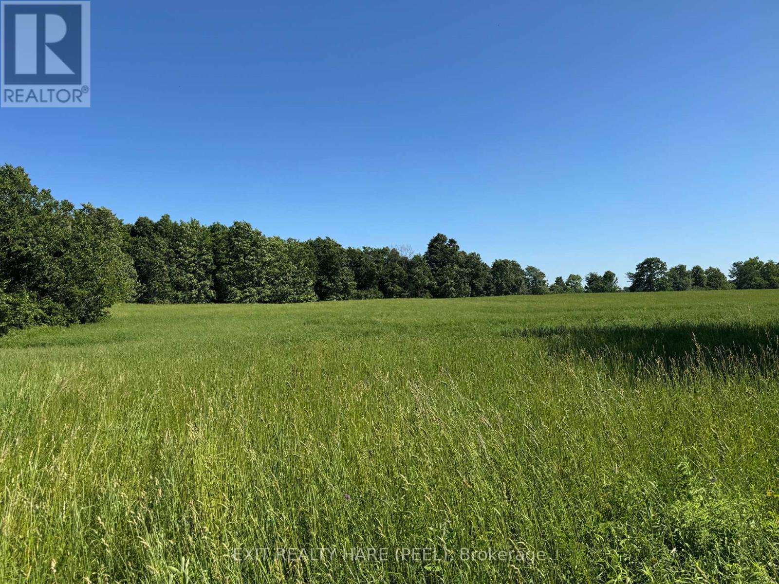 On - 14165 Trafalgar Rd Road Property Photo 24