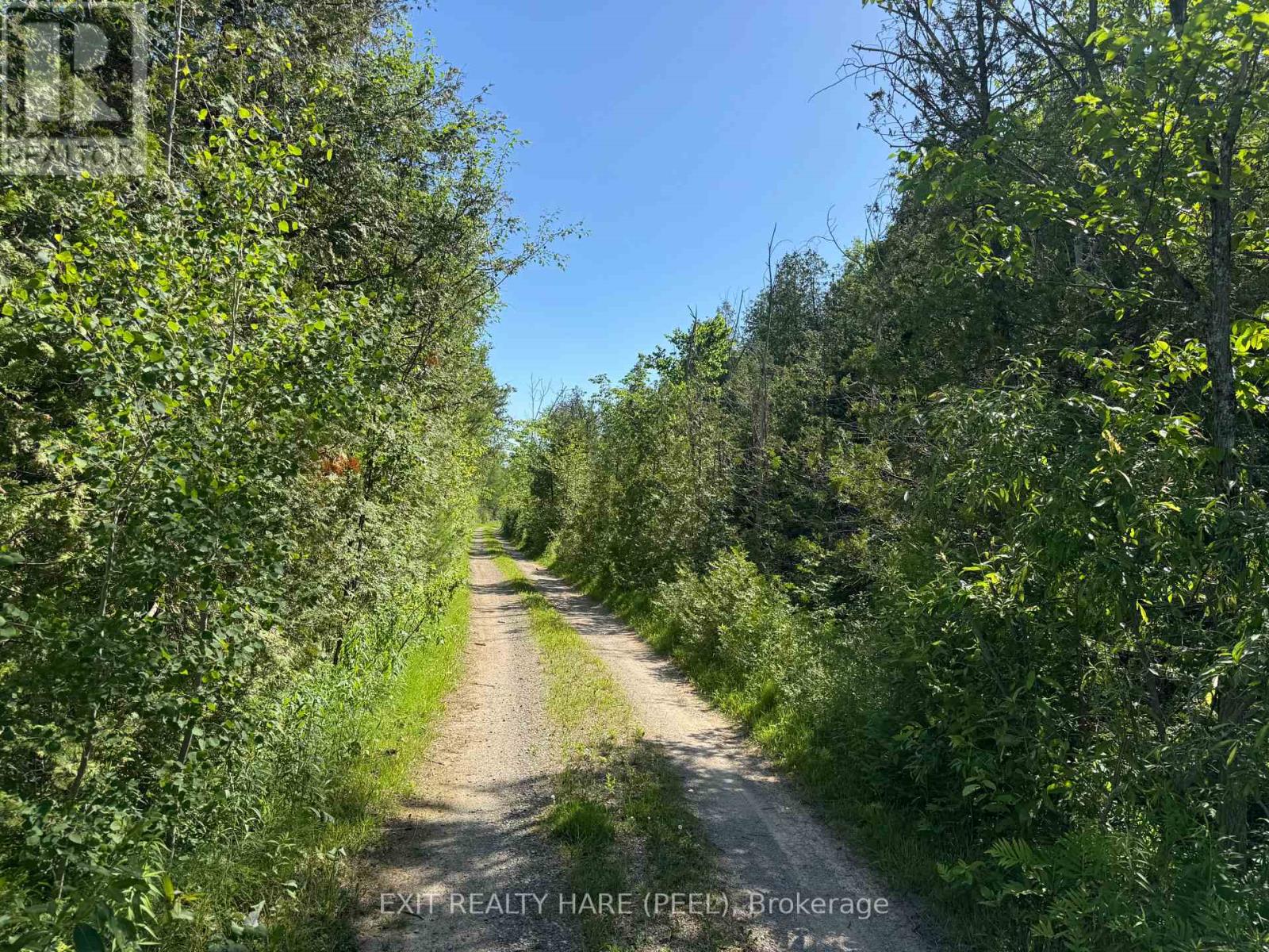 On - 14165 Trafalgar Rd Road Property Photo 26