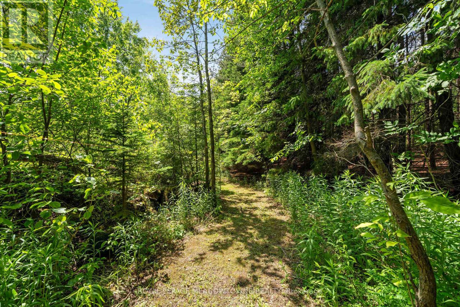 11636 Sixth Line Nassagaweya Property Photo 45