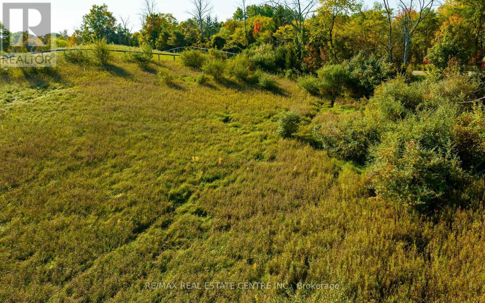 17479 The Gore Road Property Photo 14