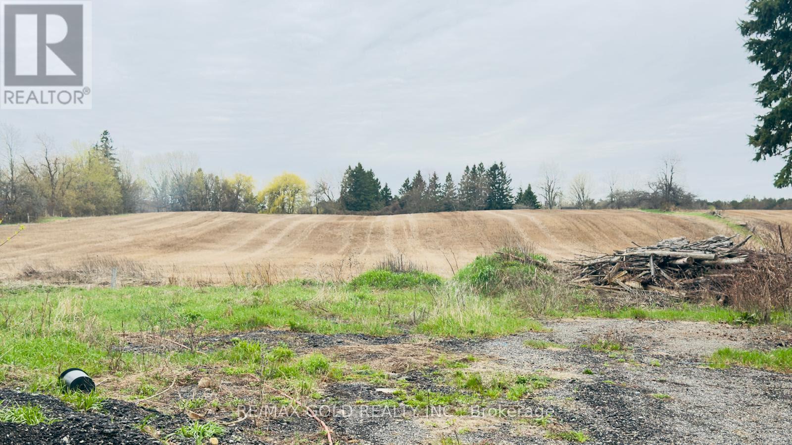 4476 Beech Grove Side Road Property Photo 16