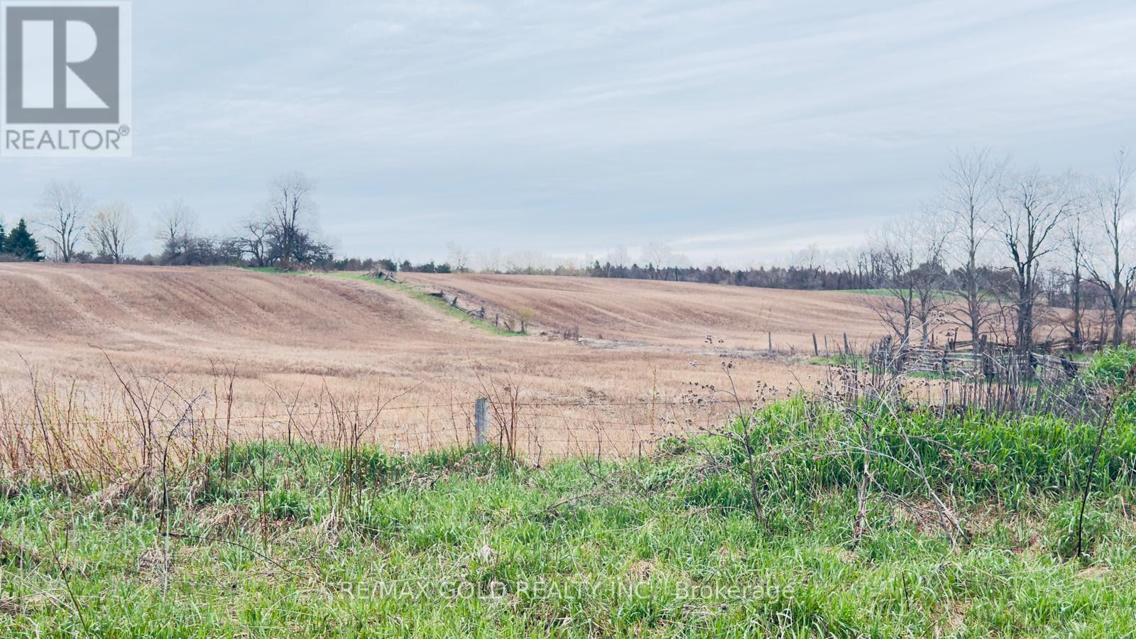 4476 Beech Grove Side Road Property Photo 17