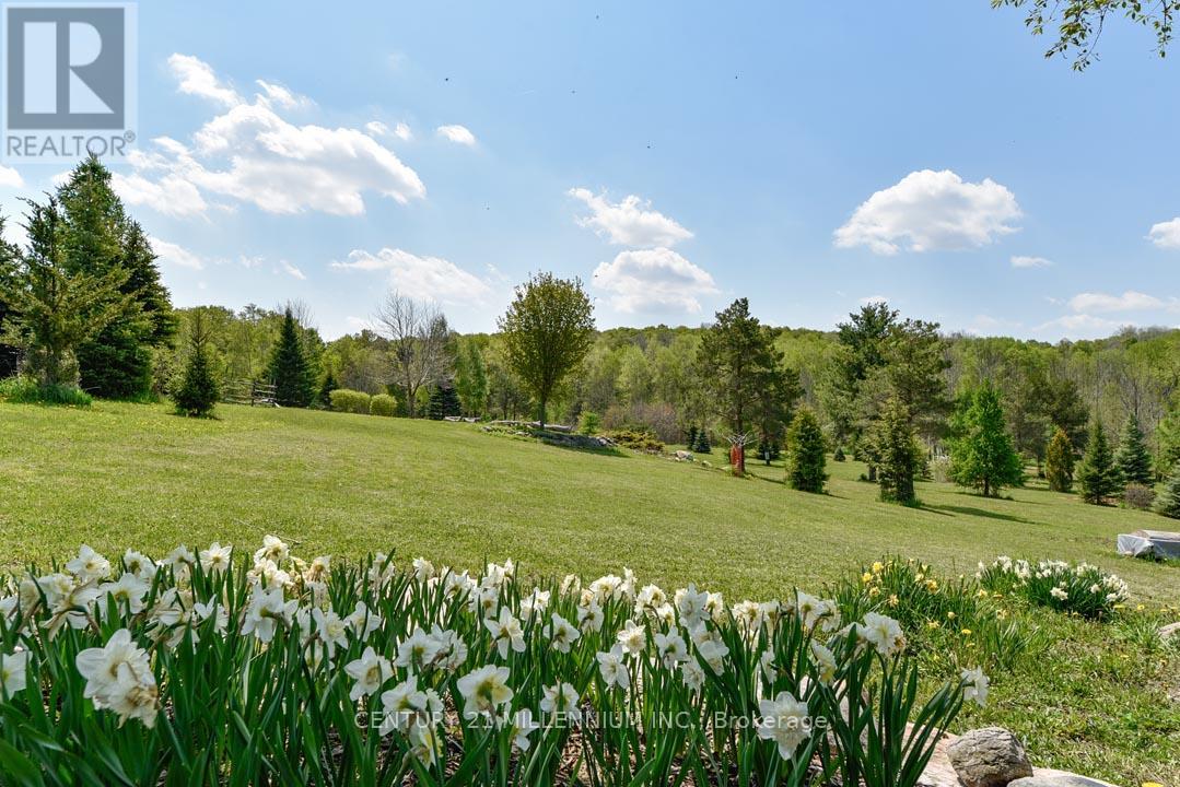 17218 Innis Lake Road Property Photo 10