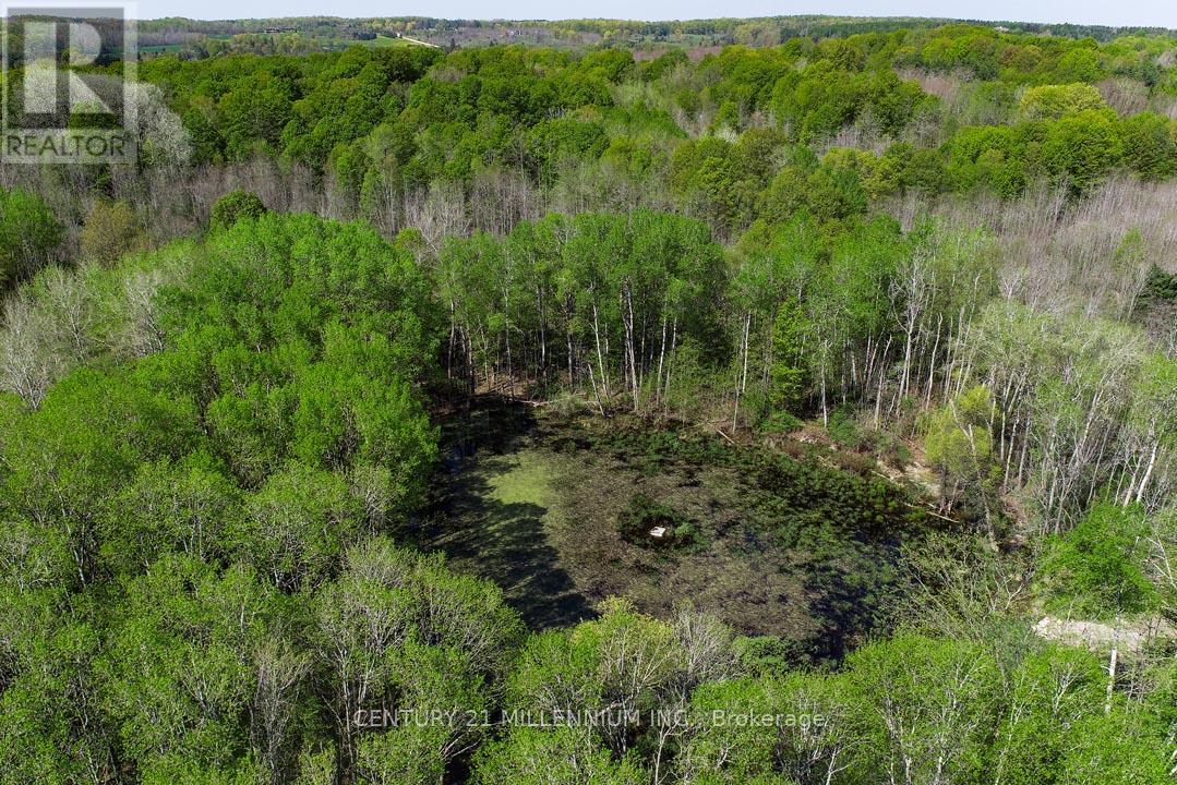 17218 Innis Lake Road Property Photo 12