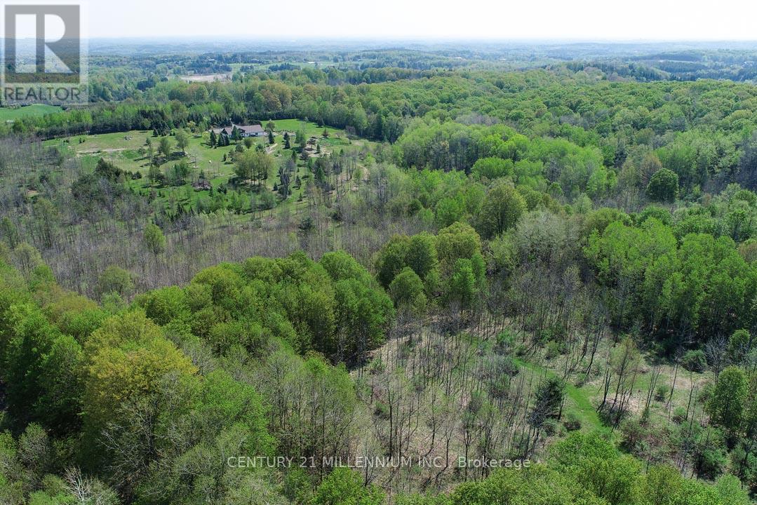 17218 Innis Lake Road Property Photo 14