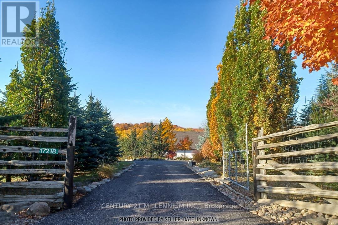 17218 Innis Lake Road Property Photo 20
