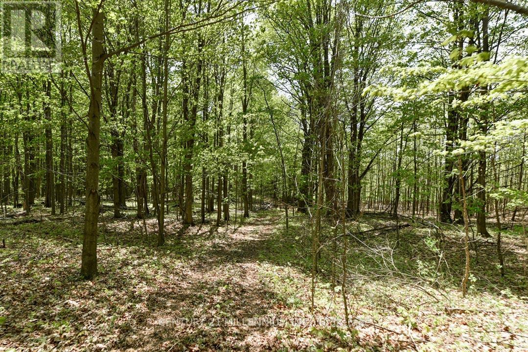 17218 Innis Lake Road Property Photo 29