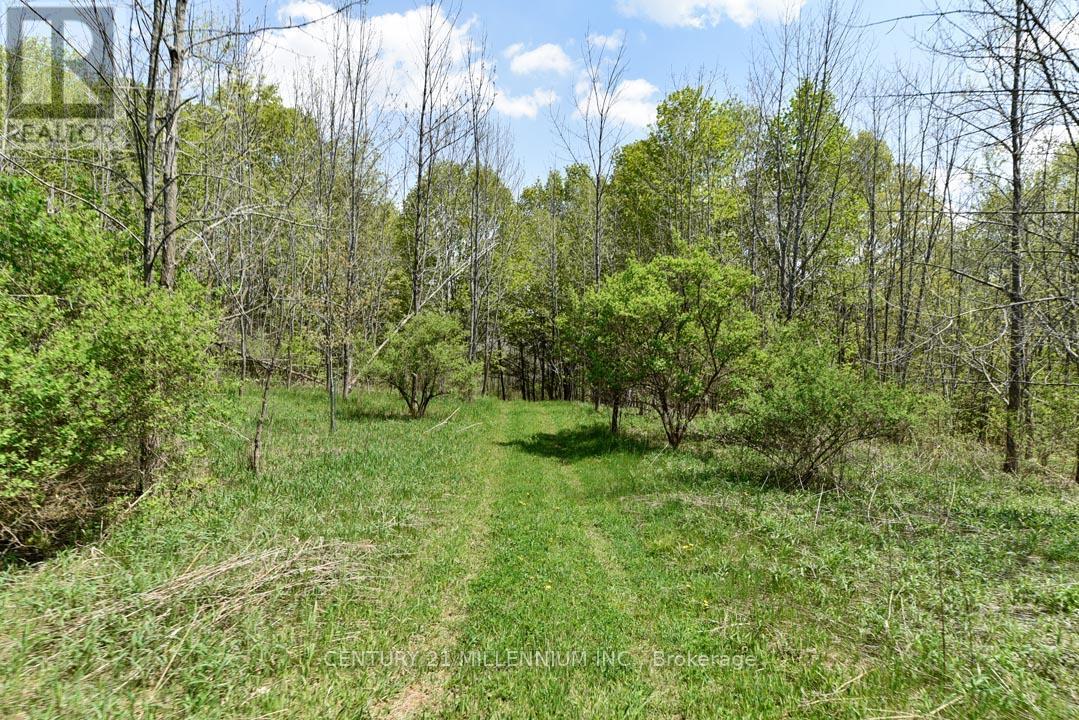 17218 Innis Lake Road Property Photo 30