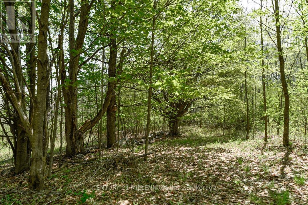 17218 Innis Lake Road Property Photo 31