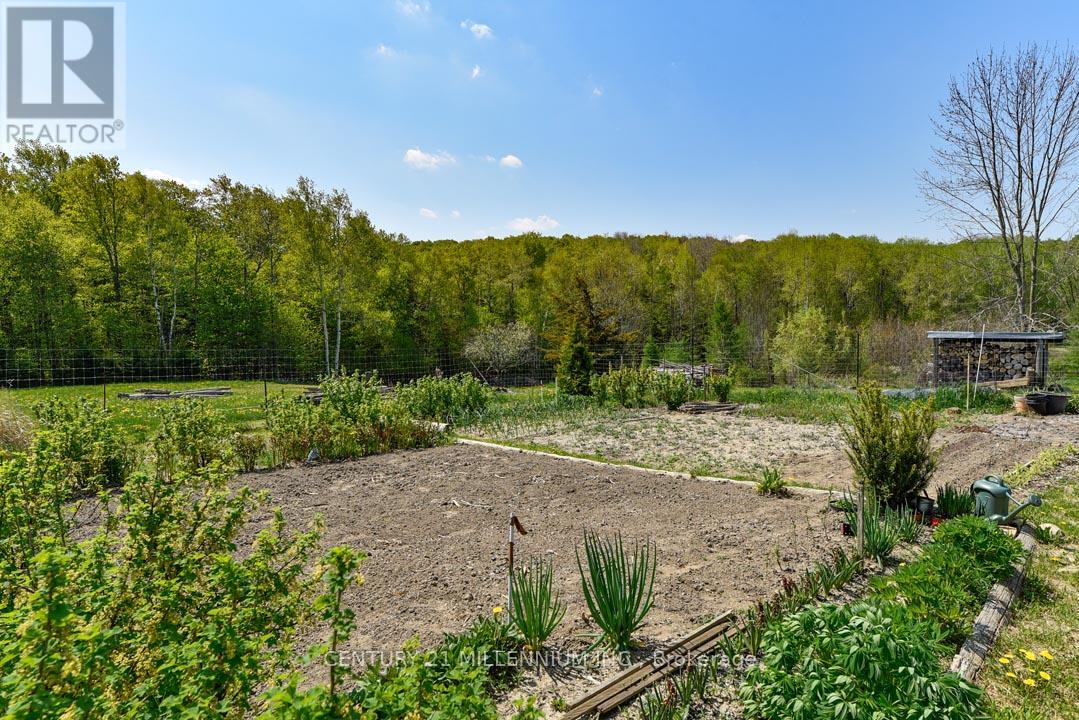 17218 Innis Lake Road Property Photo 32