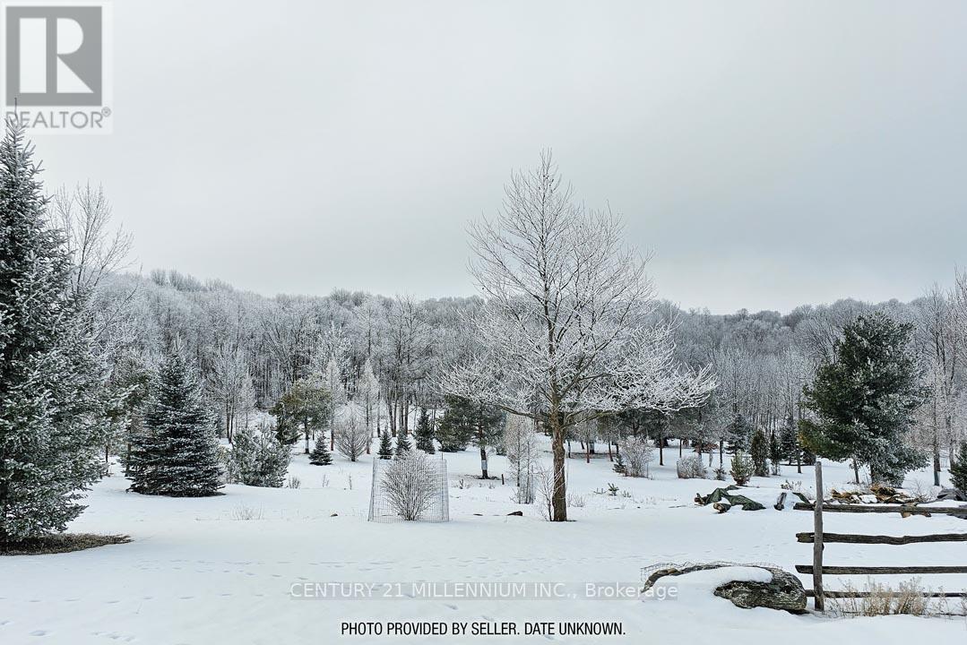17218 Innis Lake Road Property Photo 33