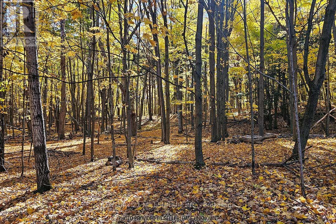 17218 Innis Lake Road Property Photo 38