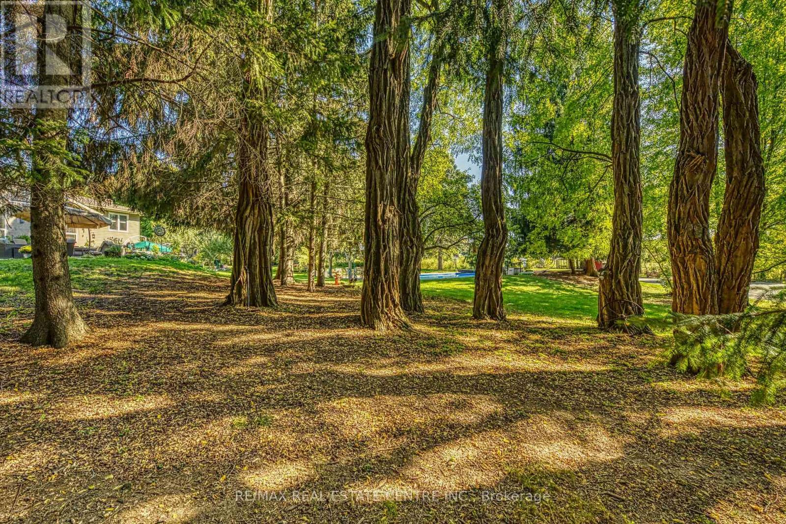 5590 Blind Line Property Photo 37