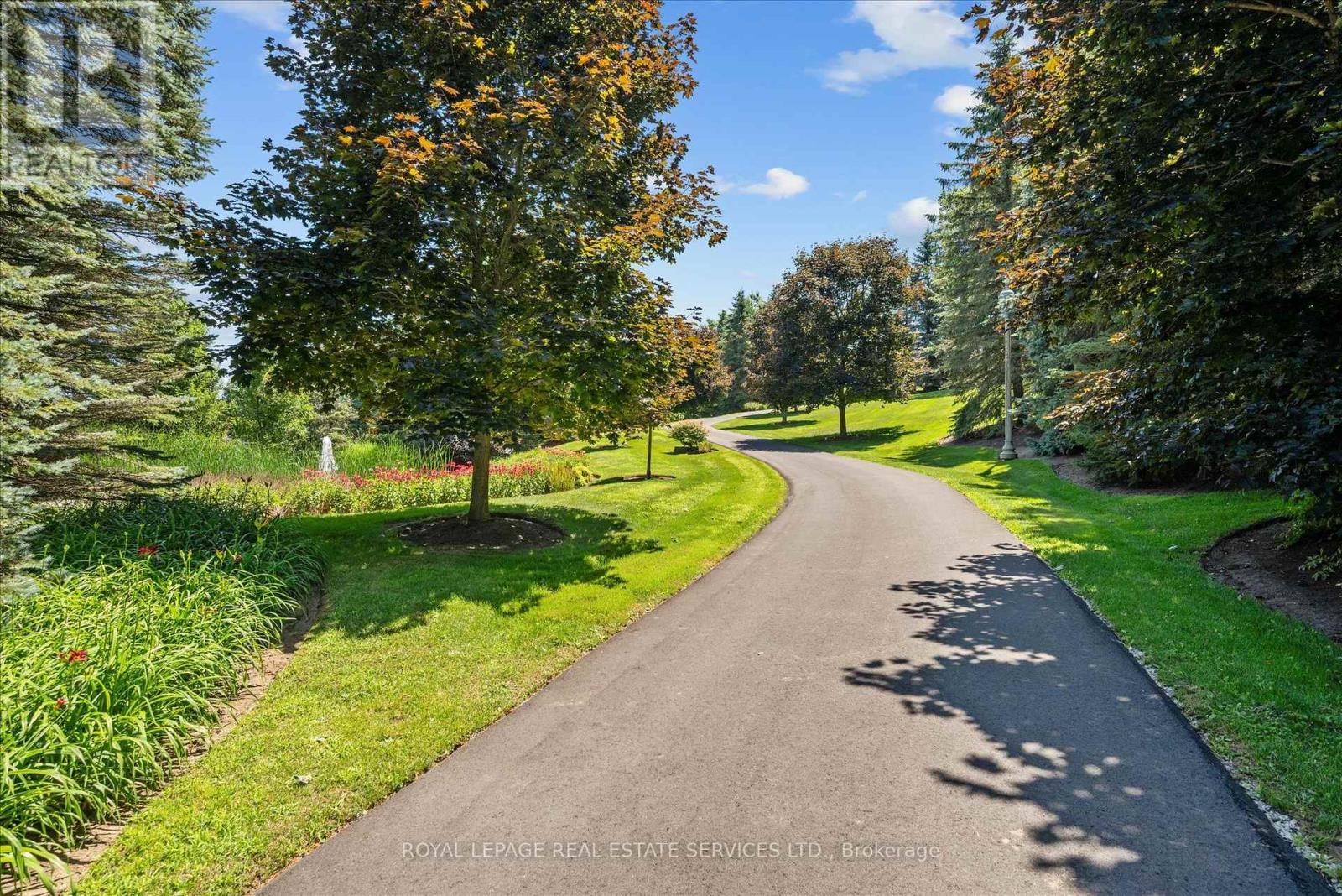 10090 Pineview Trail Property Photo 3