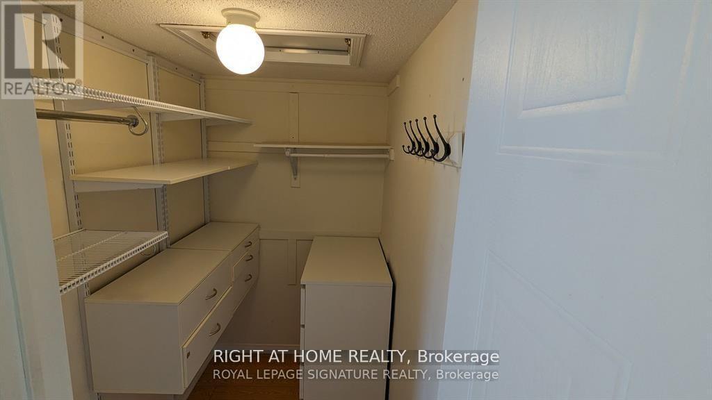 27 - 4869 Half Moon Grove Property Photo 19