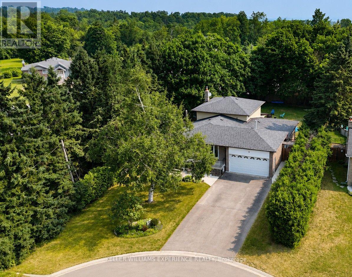 9 Palace Street Property Photo 1