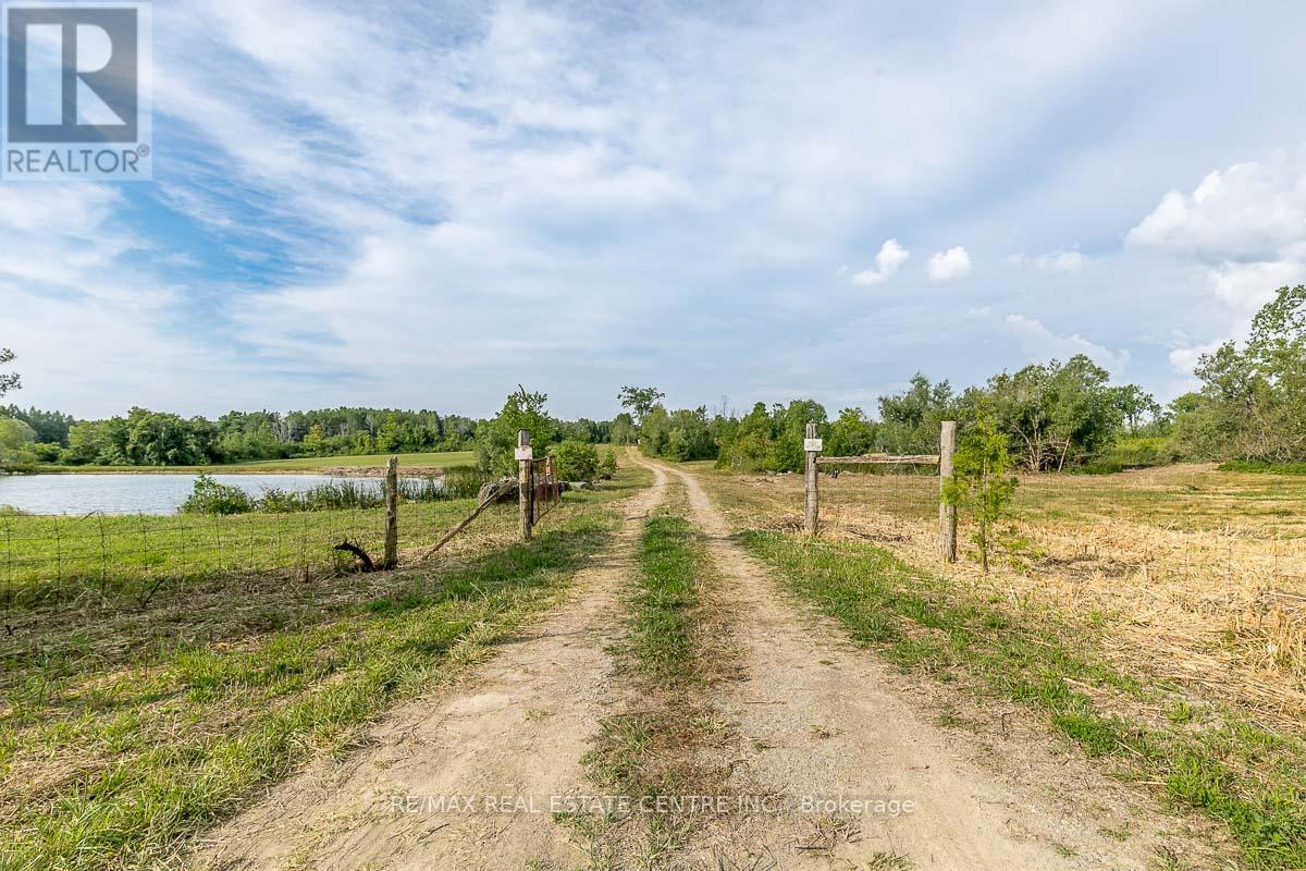 0 Shaws Creek Road Property Photo 2