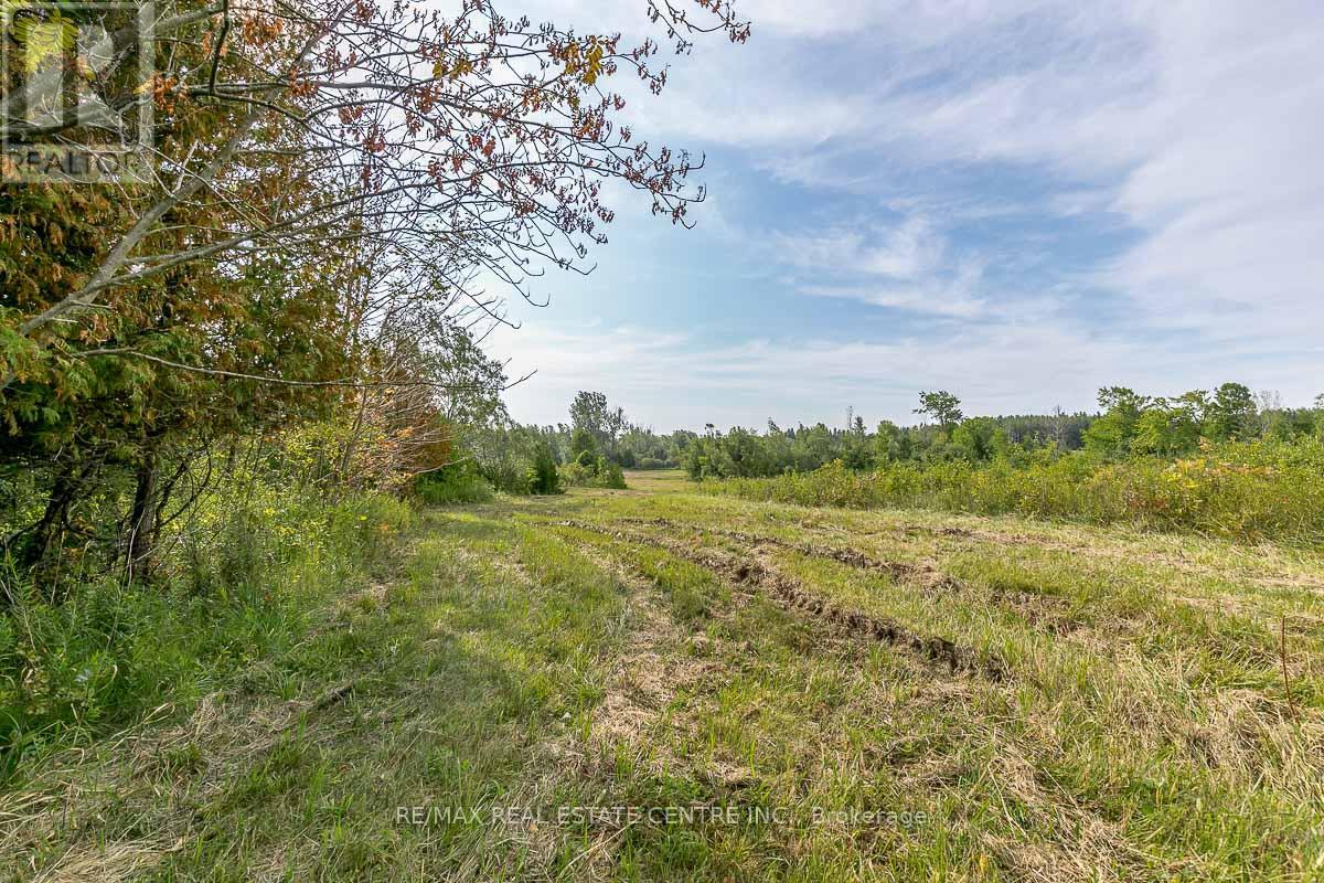 0 Shaws Creek Road Property Photo 11