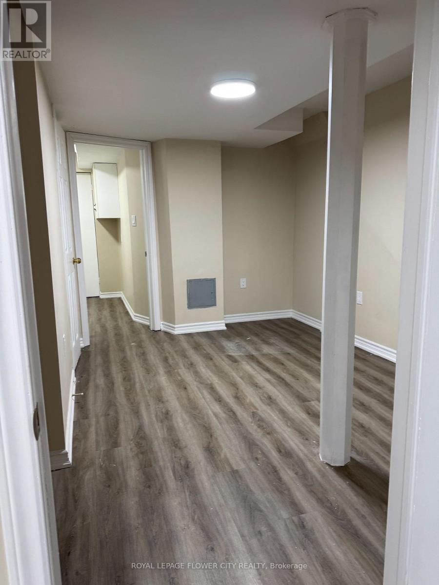 Basement - 5435 Richmeadow Mews Property Photo 13