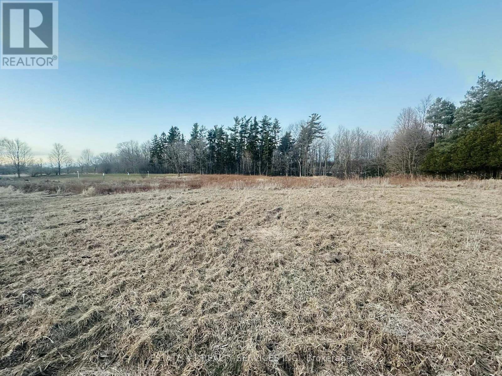 10231 Old Pinecrest Road Property Photo 3