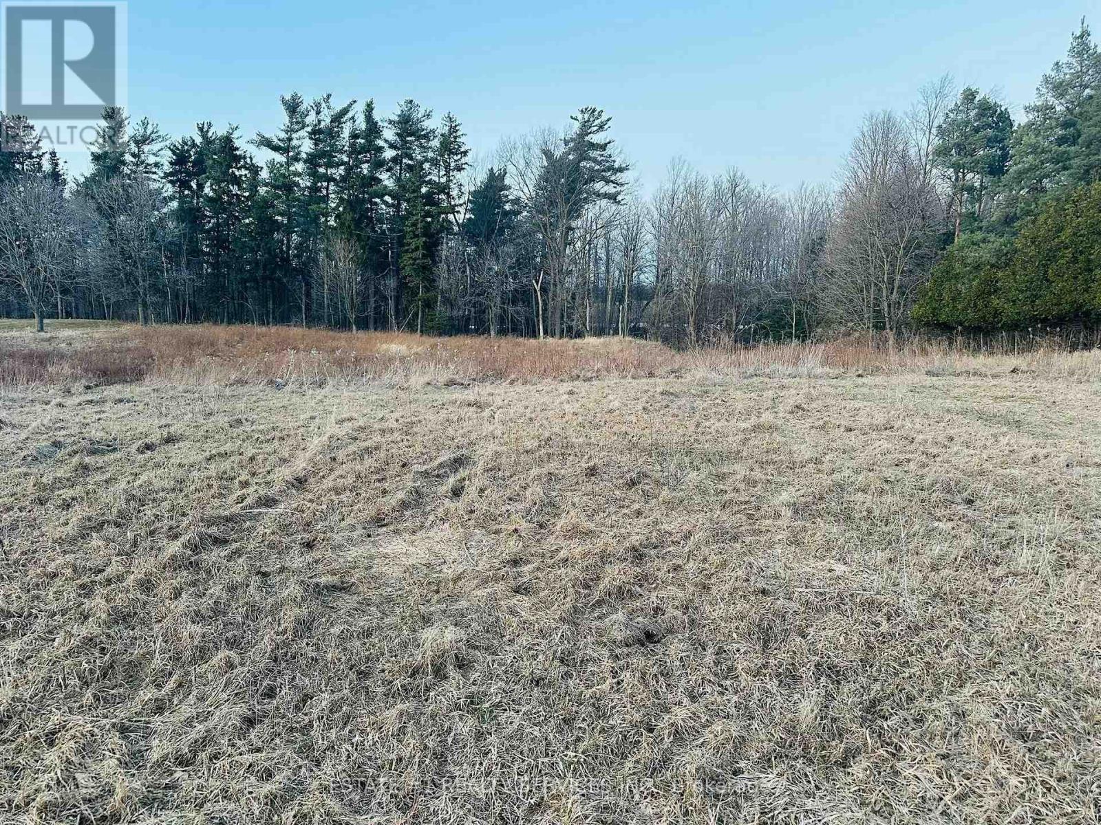 10231 Old Pinecrest Road Property Photo 5