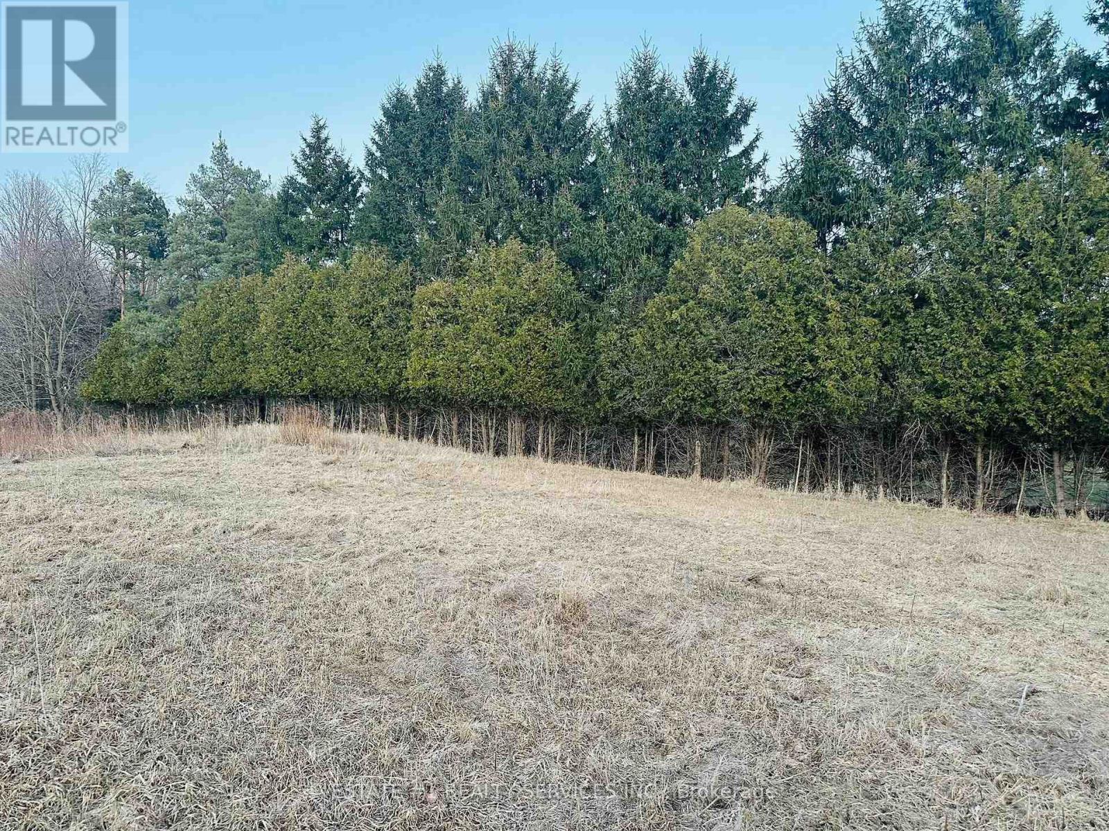 10231 Old Pinecrest Road Property Photo 6