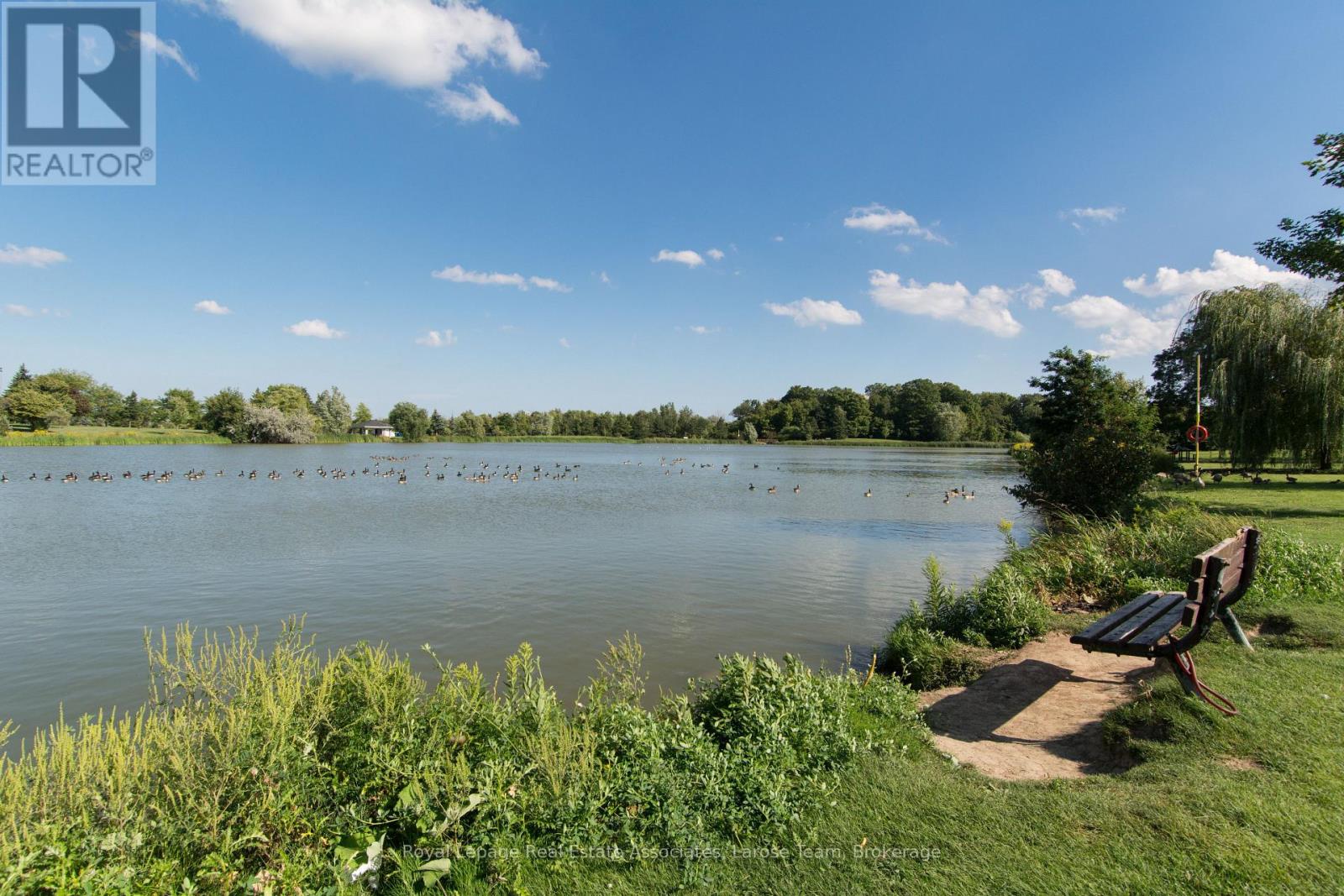 58 Silver Shadow Path Property Photo 41
