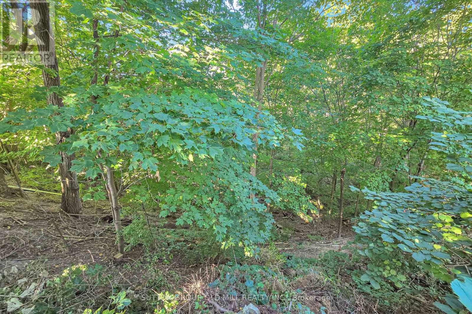 4 Ravenscrest Drive Property Photo 41