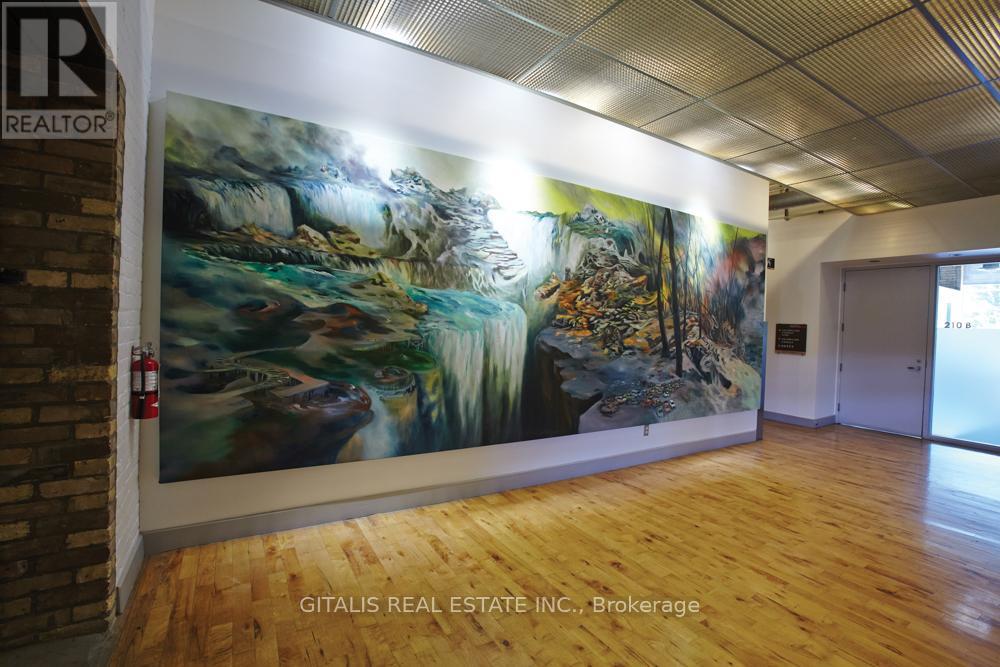 2a - 219 Dufferin Street Property Photo 19