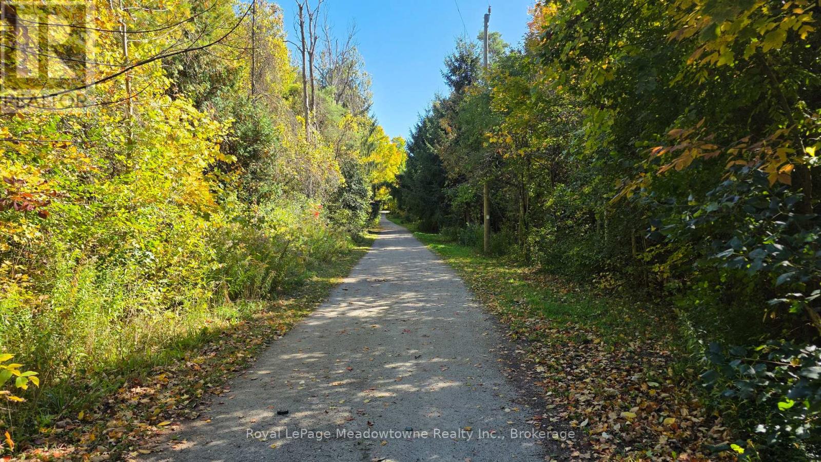4202 15 Side Road Property Photo 6