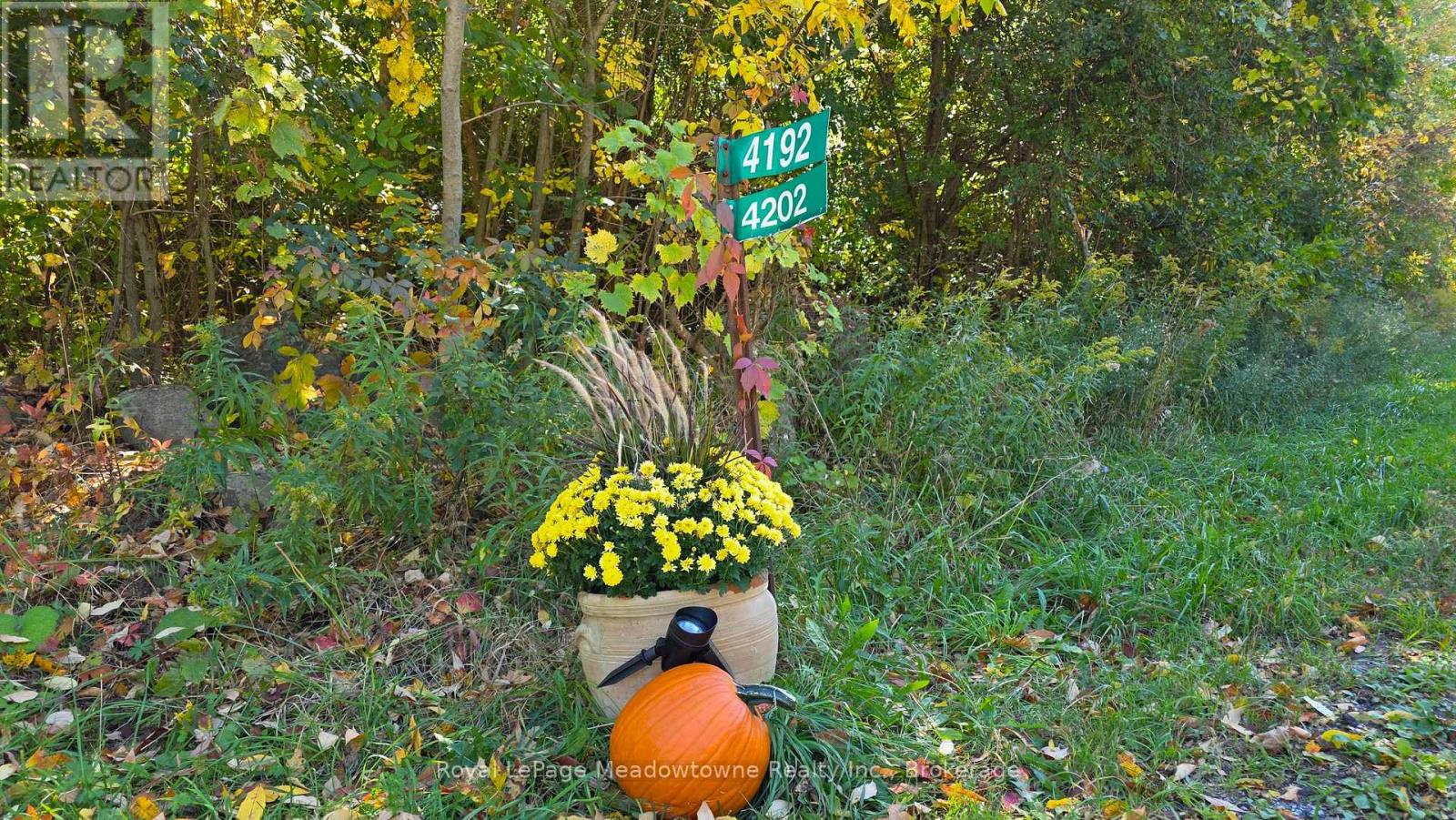 4202 15 Side Road Property Photo 26
