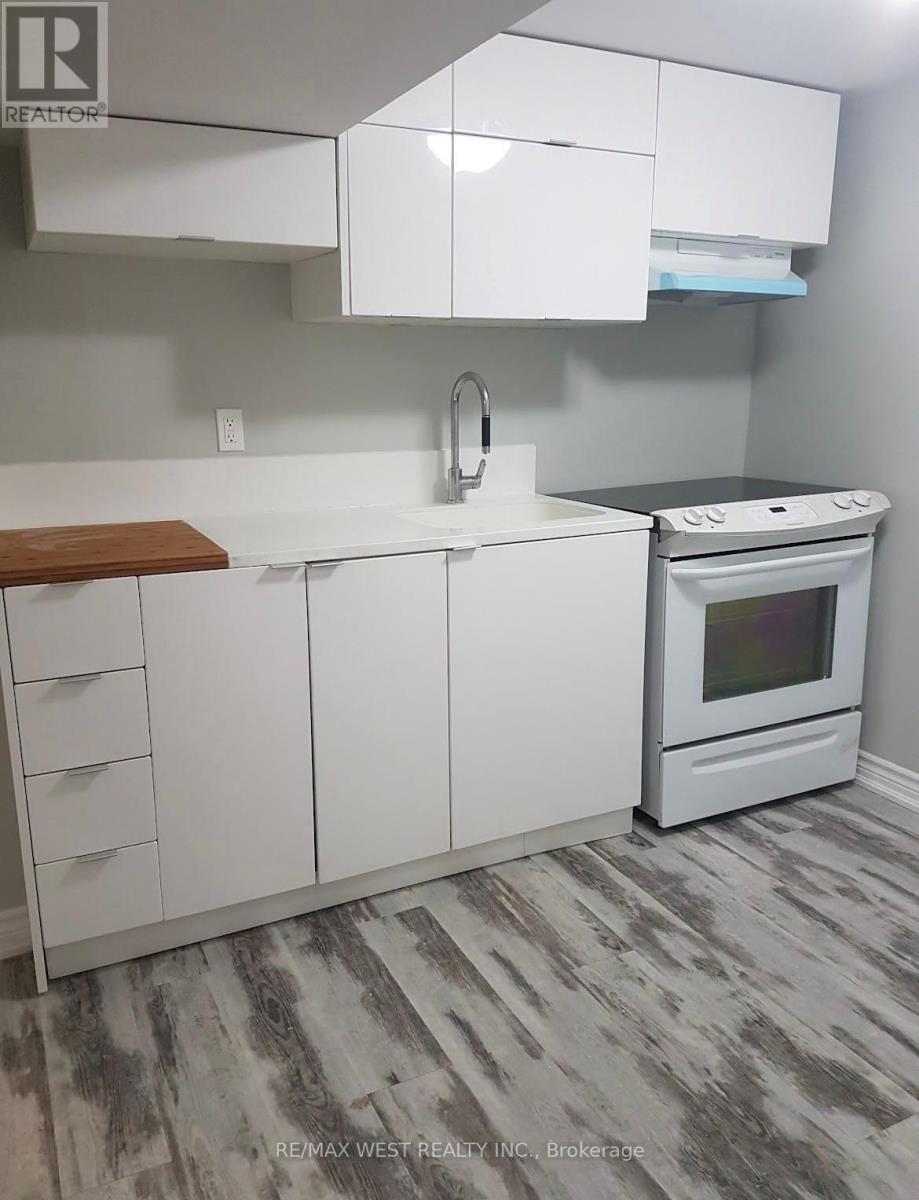 Lower - 77 Murrie Street Property Photo 2