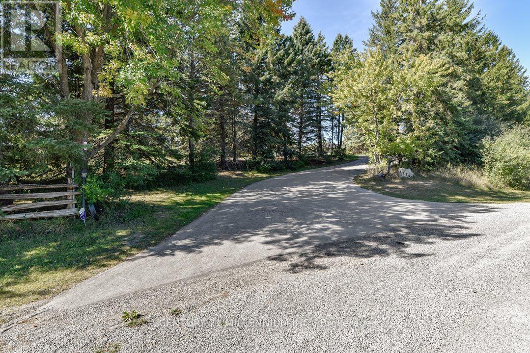 18350 Duffys Lane Property Photo 11