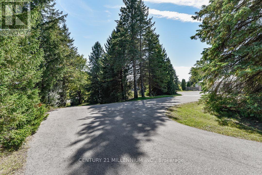 18350 Duffys Lane Property Photo 12