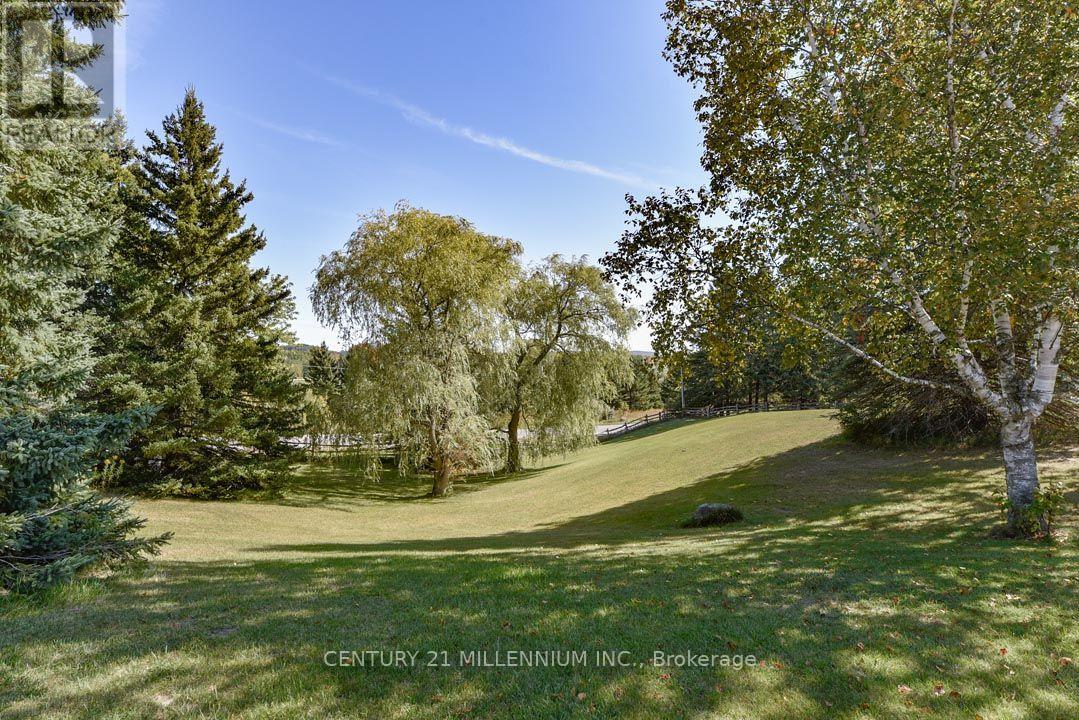 18350 Duffys Lane Property Photo 13
