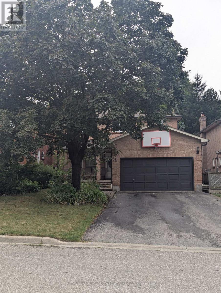 38 BAMBI TRAIL