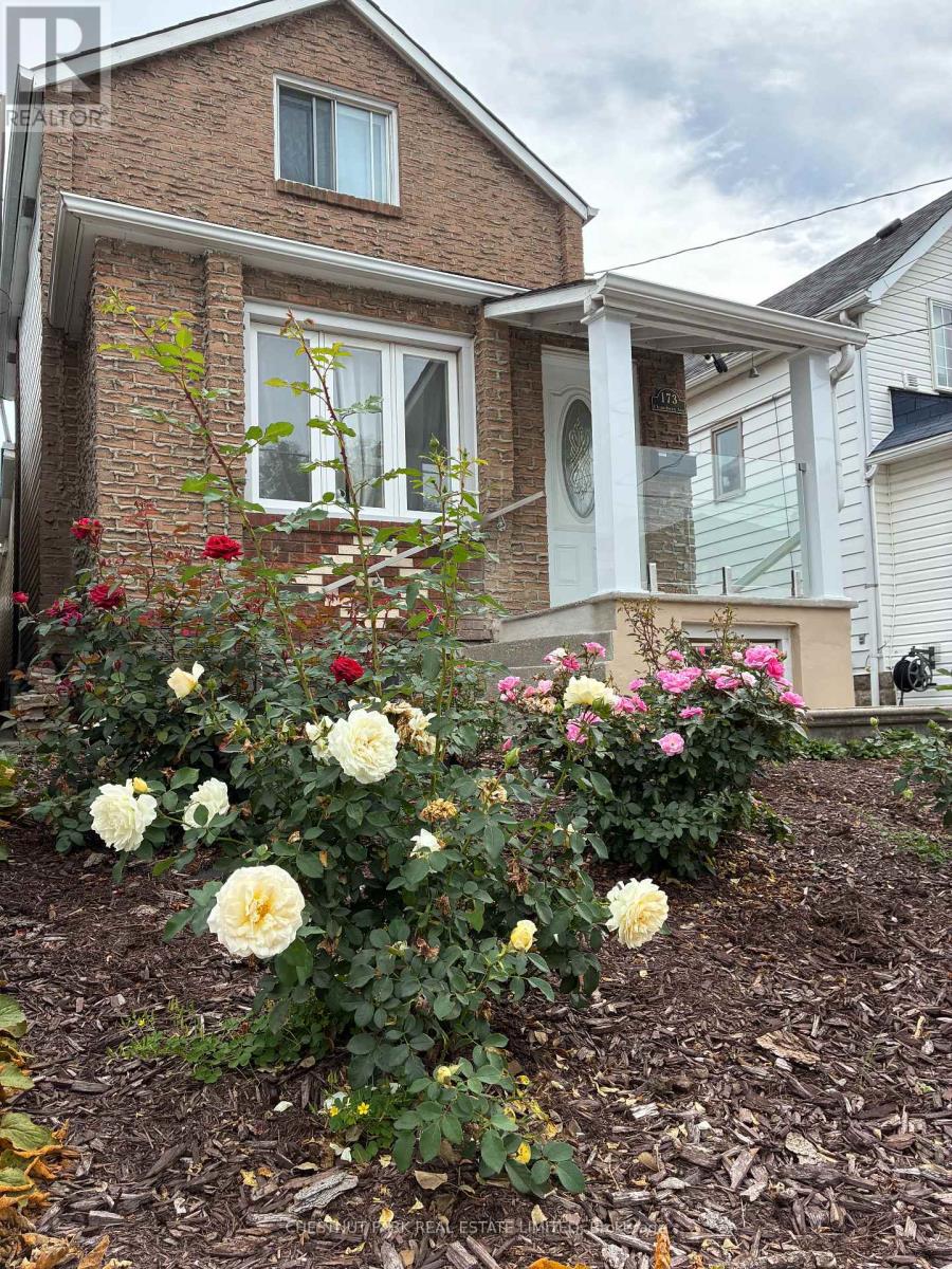 Lower - 173 Chambers Avenue Property Photo 1