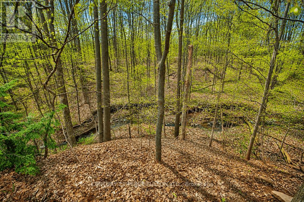 1386 Forest Glade Road Property Photo 23