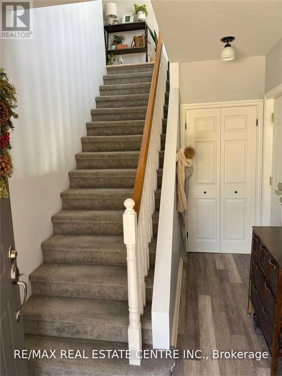 5 William Street Property Photo 18